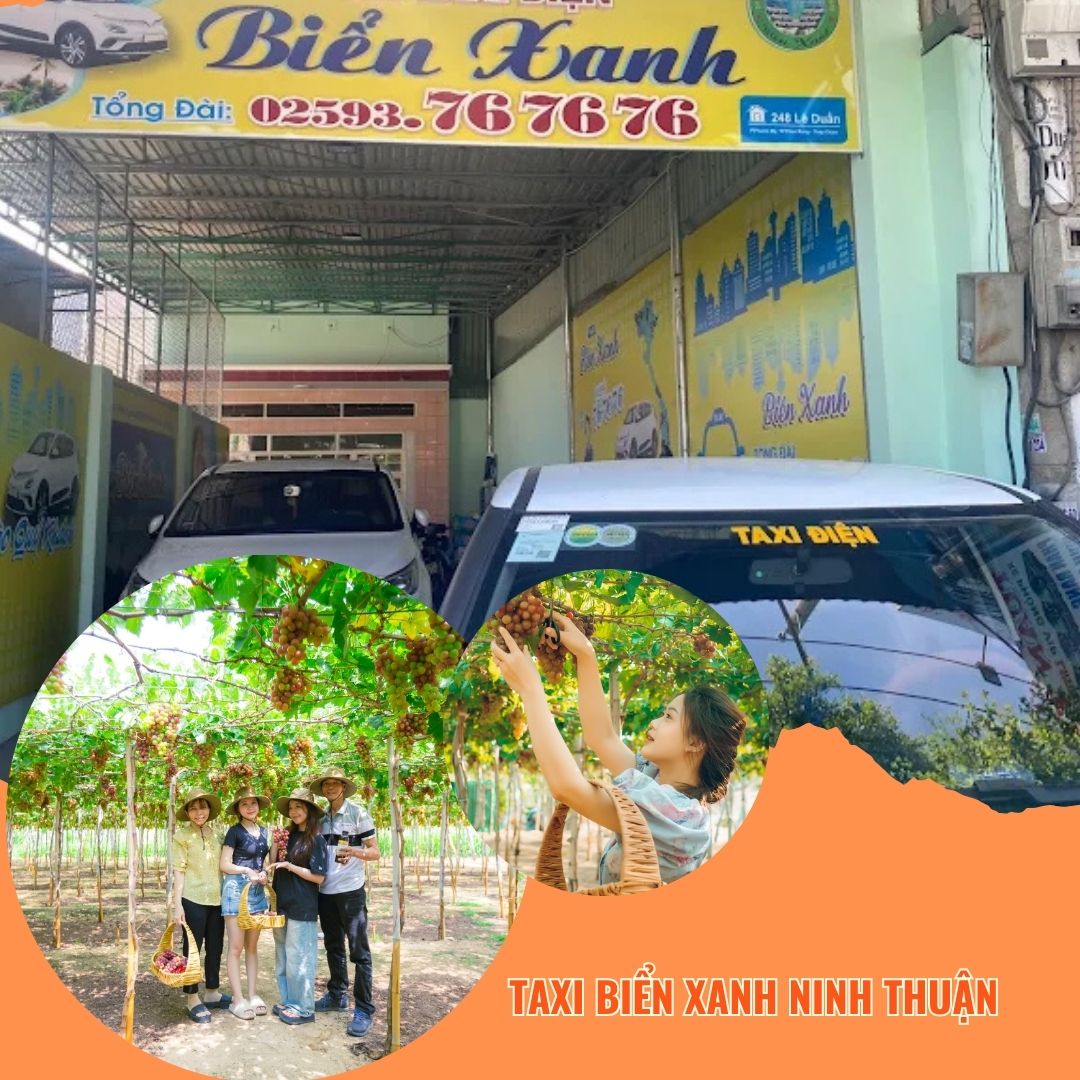 Số Taxi Biển Xanh gọi là có mặt