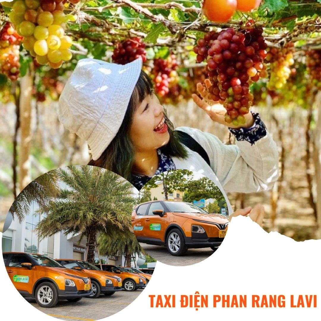 Taxi Điện Lavi Phan Rang