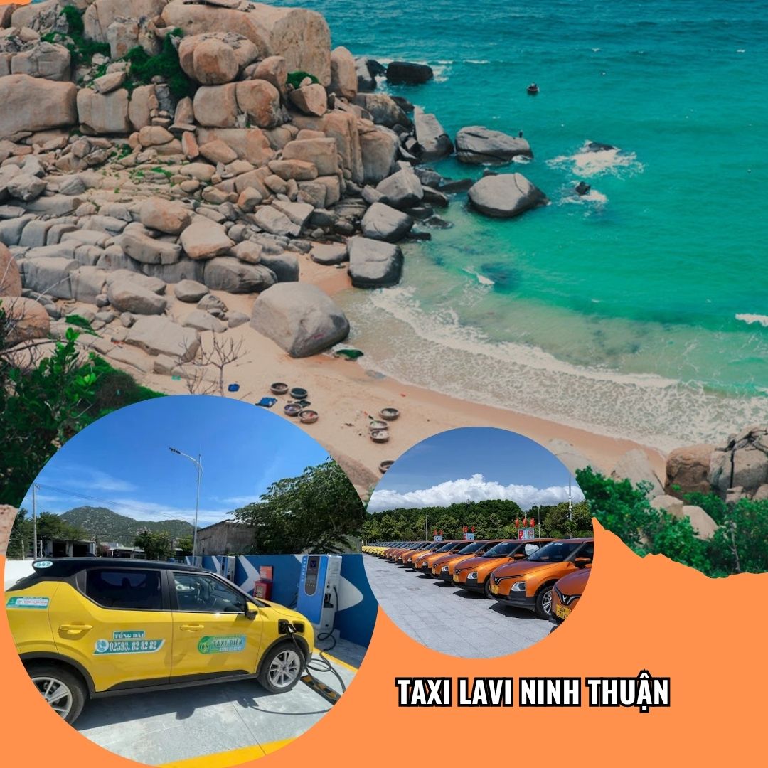 Dịch vụ taxi điện Lavi Phan Rang