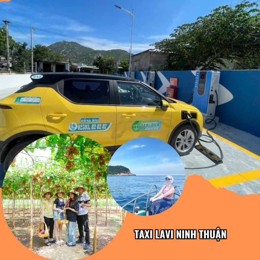 tổng đài Taxi Lavi Ninh Thuận