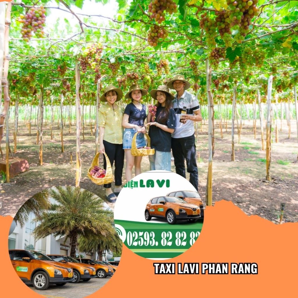 tổng đài Taxi Lavi Phan Rang