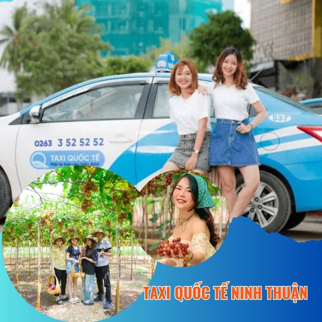 Danh bạ taxi Quốc Tế Phan Rang (Ninh Thuận)