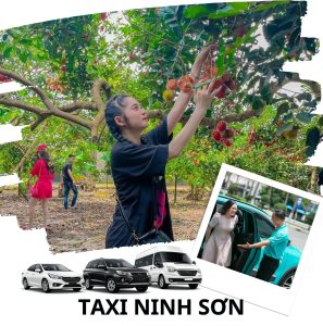Taxi Ninh Sơn - Dịch vụ di chuyển chuyên nghiệp 2026