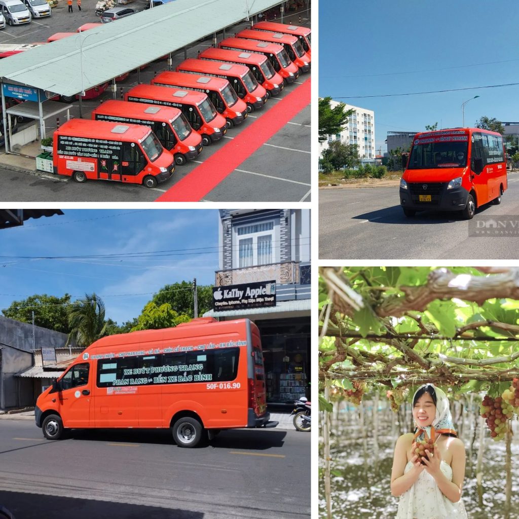 Lộ trình các tuyến xe buýt Ninh Thuận